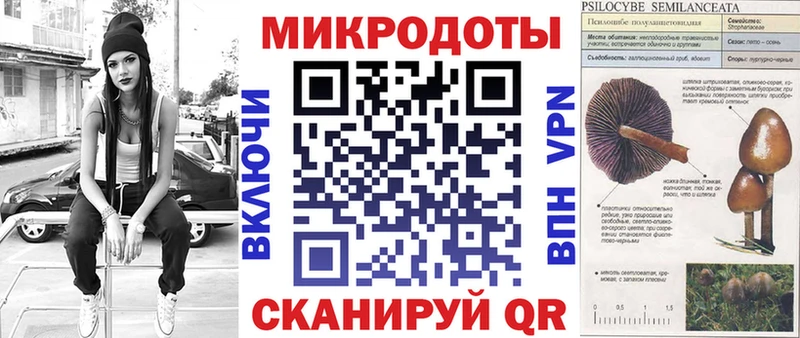 Купить где  Чегем  Псилоцибиновые грибы Psilocybe 