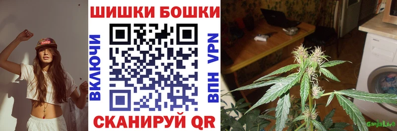 Бошки марихуана VHQ Купить Чегем